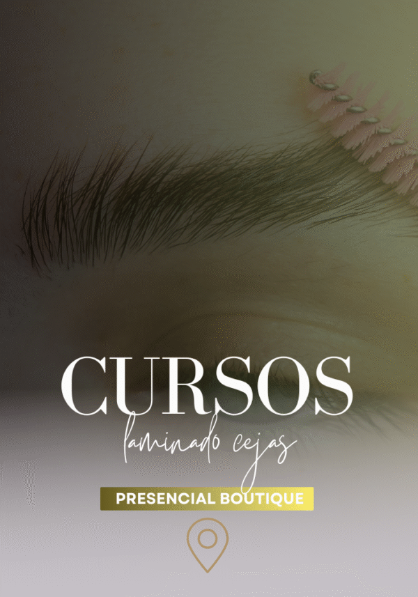 curso diseño cejas online laminado formación lifiting